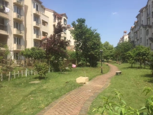 芷岸青林房屋出租（小高层）